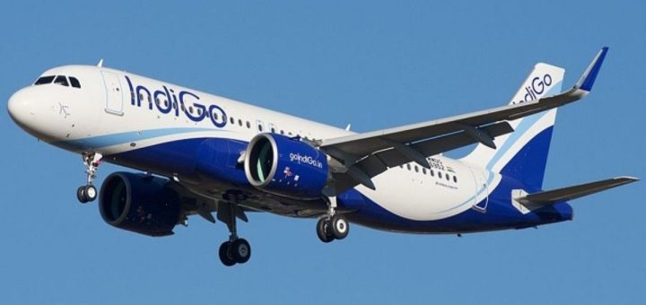 IndiGo